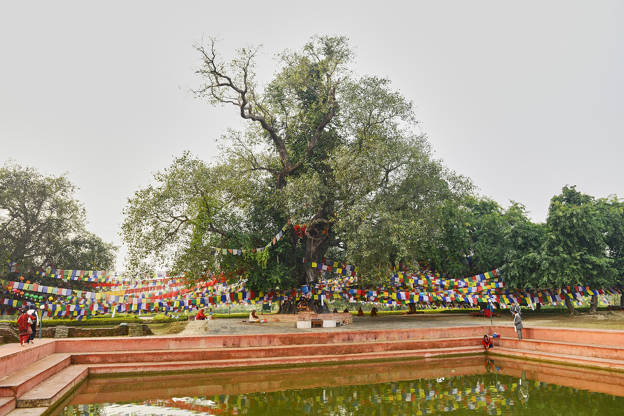 20140111 014 룸비니(부처 탄생지)